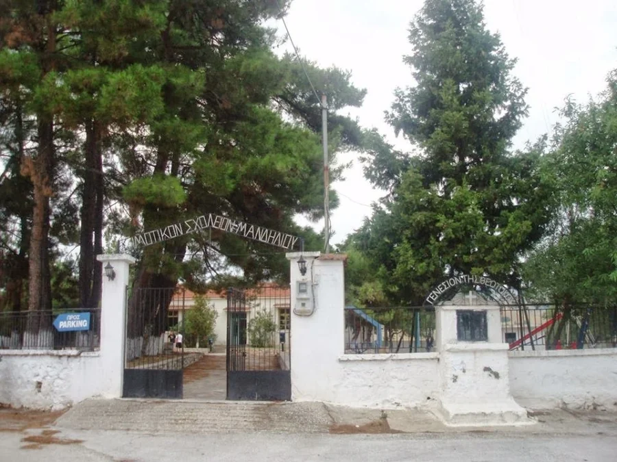 Μανδήλι: Το χωριό των Σερρών με τον πλάτανο ηλικίας 1120 ετών! - video