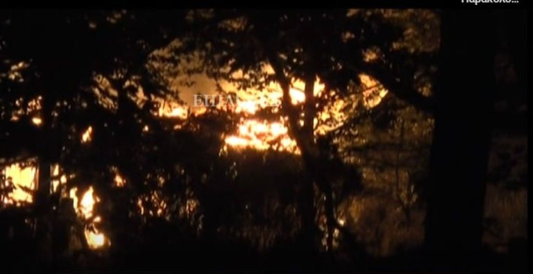 Σέρρες: Υπό έλεγχο η φωτιά στην Κοιλάδα- Συνεχίζεται η κατάσβεση (video)