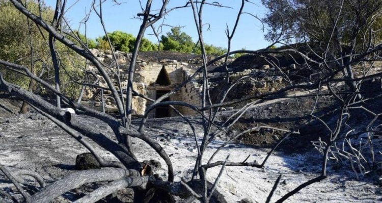 Τσίπρας για τη φωτιά στις Μυκήνες: Προκαλεί οργή η στάση της κυβέρνησης