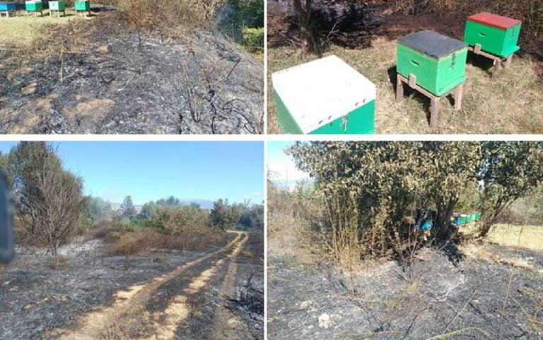 Σέρρες : Σοβαρές ζημιές στις καλλιέργειες από την πυρκαγιά στην Ν. Τυρολόη