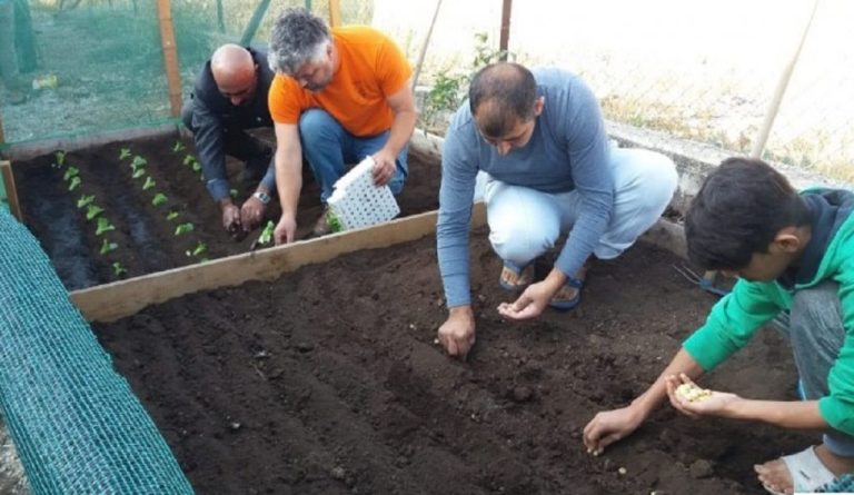 Δράμα : Λαχανόκηποι στη δομή προσφύγων από τον “Πελίτι”(φωτο)