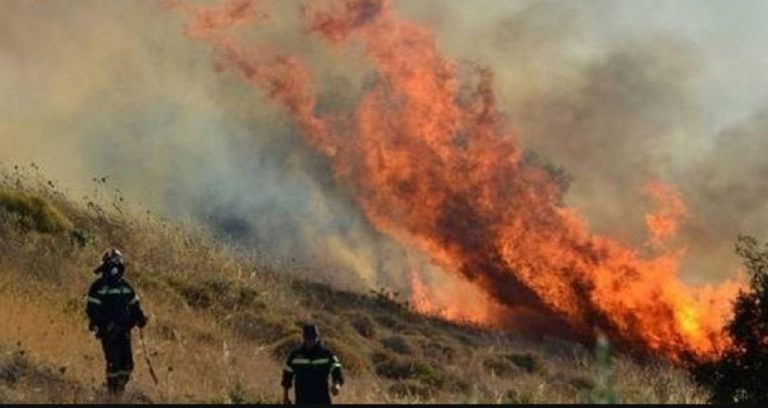 Σέρρες : Πυρκαγιά σε δασική έκταση στο Μπέλλες