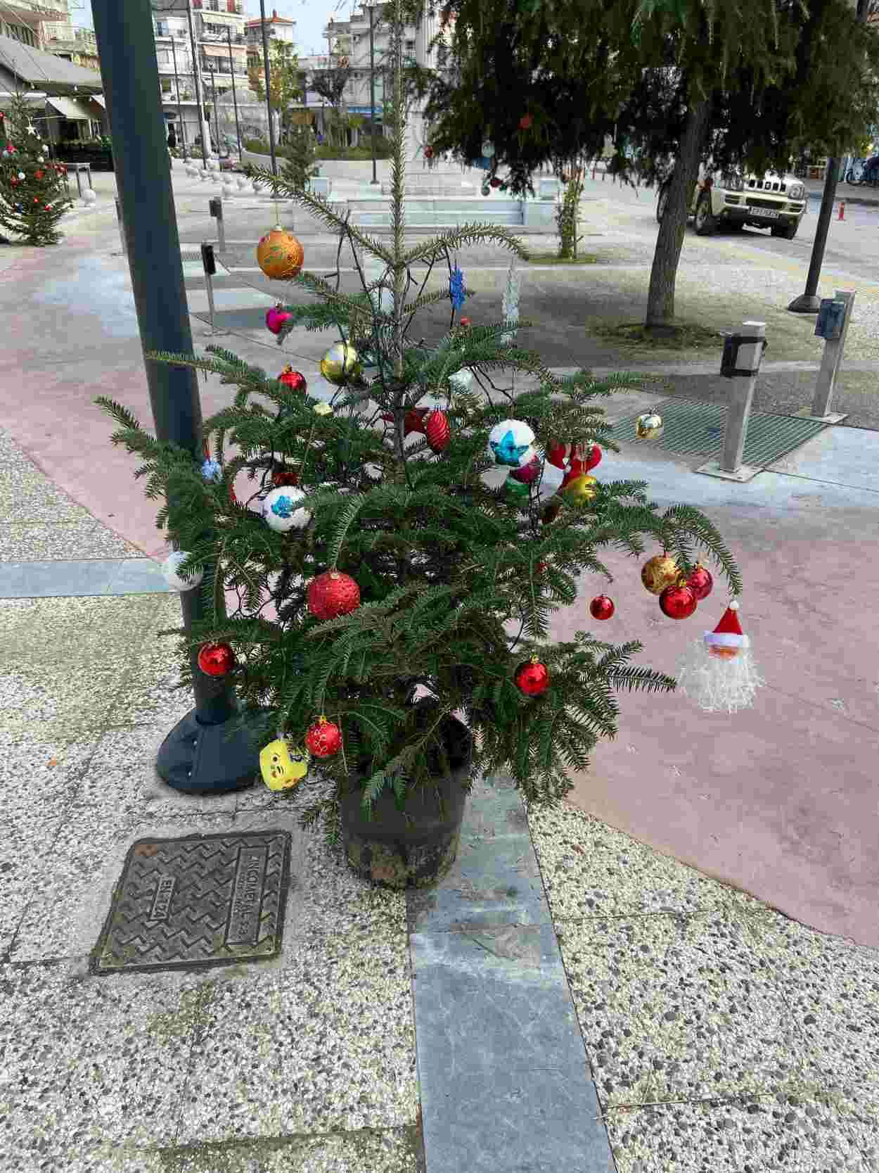 Σέρρες: Οι μαθητές της Νιγρίτας στόλισαν χριστουγεννιάτικα την κεντρική πλατεία (φωτο)