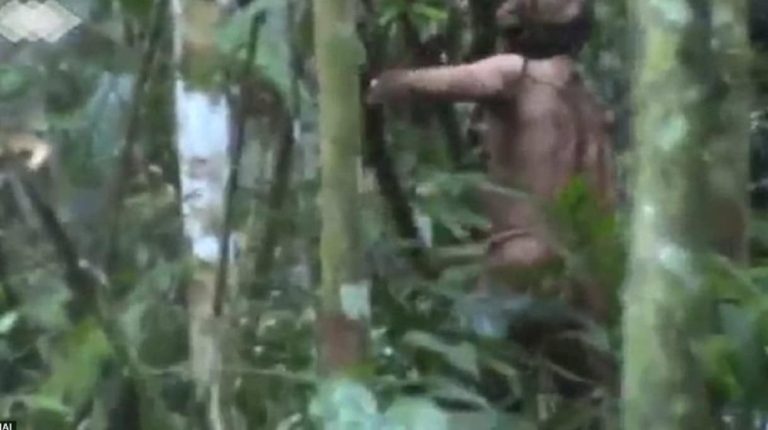 Σπάνια πλάνα: Αυτός είναι ο τελευταίος επιζών φυλής του Αμαζονίου –Τους σκότωσαν αγρότες