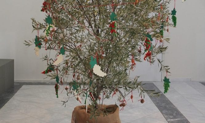 Πώς έλεγαν το “χριστουγεννιάτικο” δέντρο στην αρχαία Ελλάδα