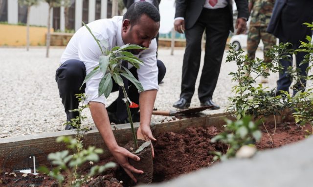 Αιθιοπία: Φύτεψαν 350 εκατ. δέντρα σε μια μέρα για την κλιματική αλλαγή