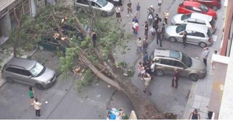 Πτώση δέντρου σε δύο οχήματα στο κέντρο της Θεσσαλονίκης