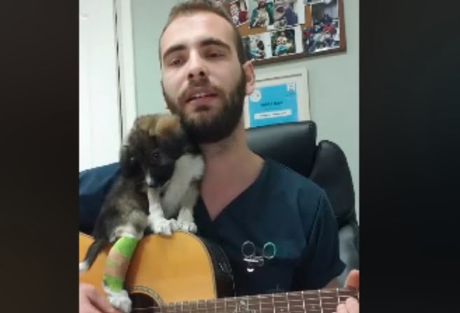 Σερραίος γιατρός γιατρεύει και ηρεμεί τα ζωάκια με την κιθάρα και τo τραγούδι του(video)