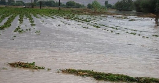 Κλιμάκιο του ΕΛΓΑ στα Κ.Δένδρα Σερρών για τις πλημμύρες