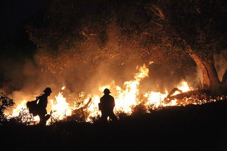 Σέρρες: Έσβησε η φωτιά στο Μενοίκιο- Παραμένουν στο σημείο 10 πυροσβέστες