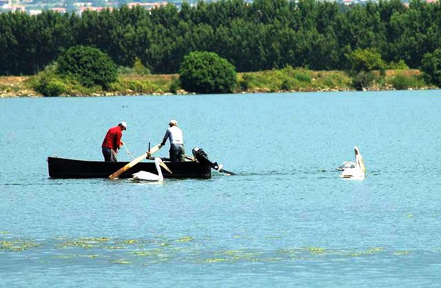«Εισβολή Βούλγαρων ψαράδων στη λίμνη Κερκίνη»