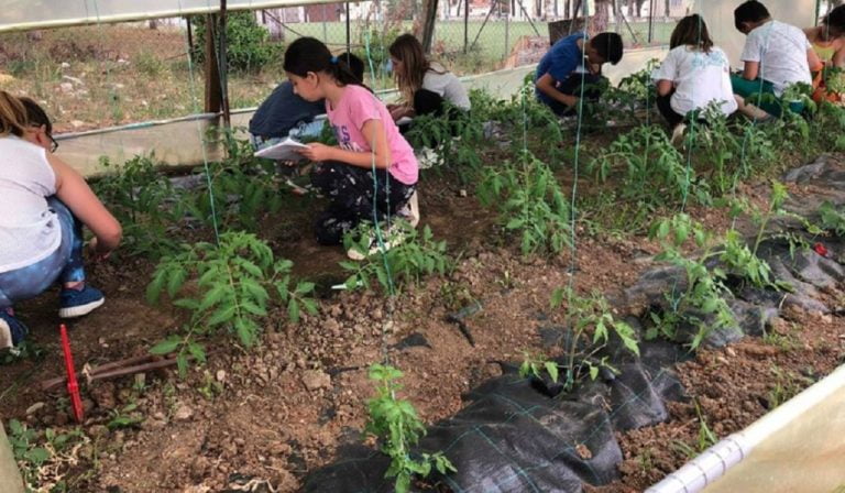 Κλείνει λαχανόκηπος Δημοτικού Σχολείου λόγω …τέλους επιτηδεύματος