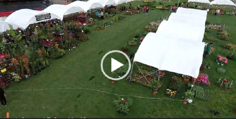 Έκθεση Μονόβρυσης -Δείτε υπέροχα πλάνα με drone από την φετινή γιορτή λουλουδιών