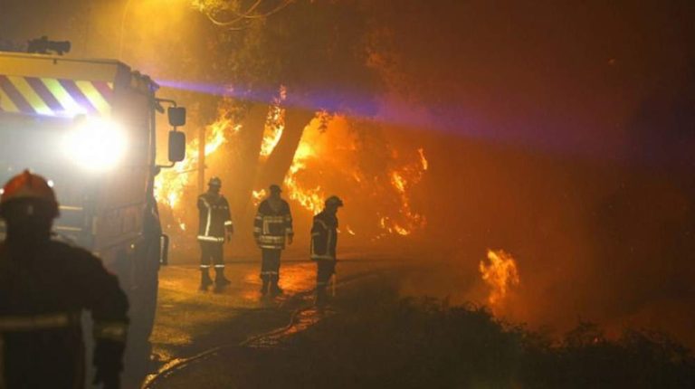 Κεραυνός έκαψε δεκάδες πρόβατα στα Τρίκαλα τα ξημερώματα