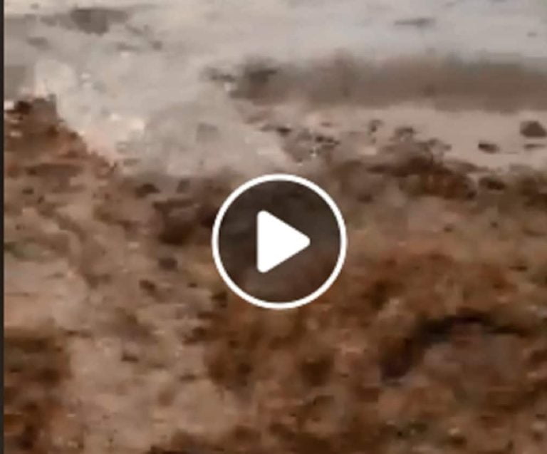Παρ’ολιγο να πλημμυρίσει η γέφυρα στο Στρυμονικό που θα εγκαινιαστεί στις 12/7! (Βίντεο)