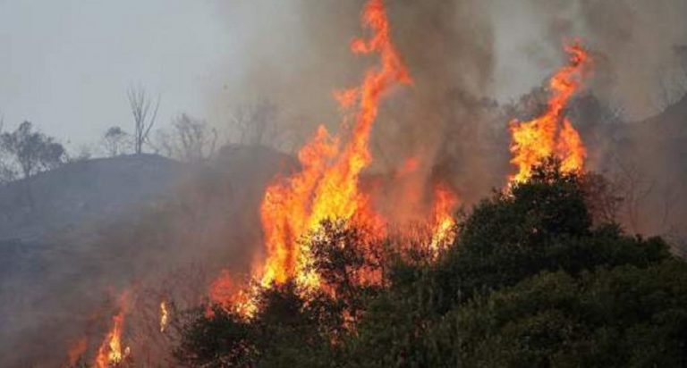 Σέρρες ,έκτακτο : Διακοπή κυκλοφορίας λόγω φωτιάς έξω από τον Προβατά