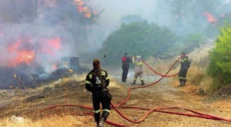 Σέρρες: Πυρκαγιά σε δασική έκταση στο Σιδηρόκαστρο –  Βούλγαρος  συνελήφθη για εμπρησμό