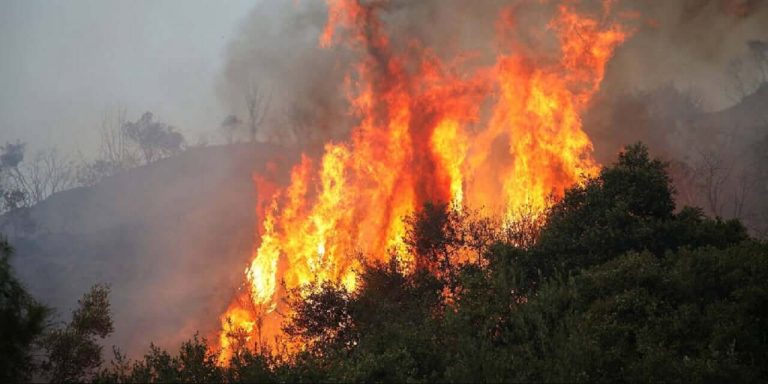 Σέρρες : Σε εξέλιξη πυρκαγιά σε αγροτοδασική έκταση στα Πορόια Σερρών