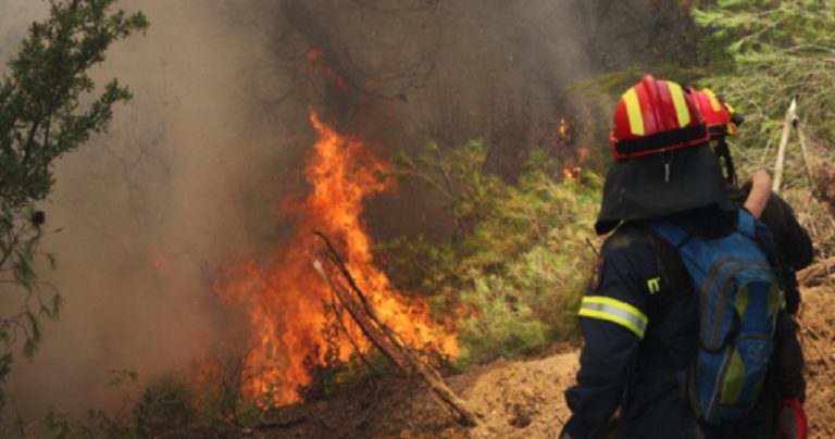 Τραγωδία στις Σέρρες : Νεκρός 45χρονος πυροσβέστης σε ώρα καθήκοντος