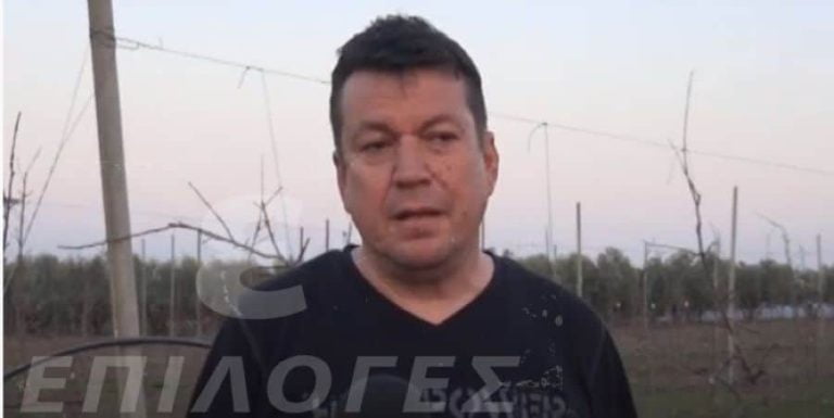 Σέρρες: Δράστης στην Τερπνή κλαδεύει τα δέντρα και καταστρέφει την παραγωγή- Ζημιά χιλιάδων ευρώ (video)