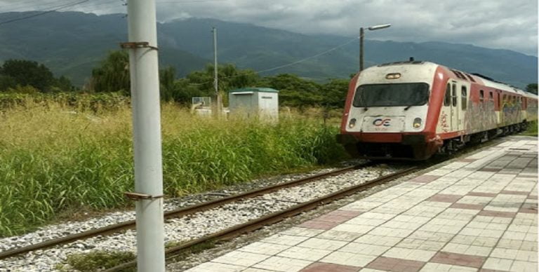 Σέρρες: Τρένο έπεσε σε κοπάδι από Βουβάλια στην περιοχή της Λίμνης Κερκίνης