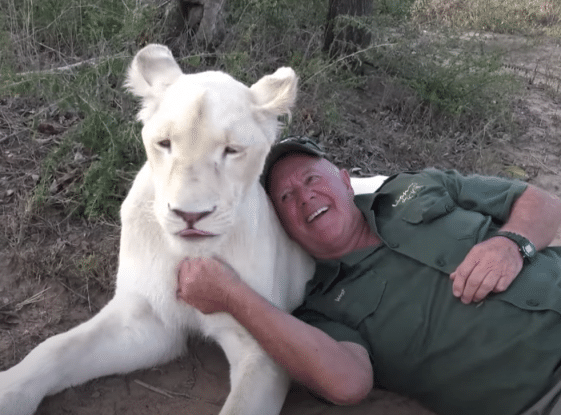 «Τα άγρια ζώα δεν εξημερώνονται»: Τον σκότωσαν τα λιοντάρια που μεγάλωσε (φωτο)