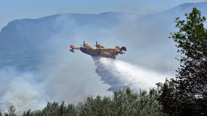 Σε εξέλιξη πυρκαγιά στο Άγιον Όρος- Επιχειρούν ισχυρές πυροσβεστικές δυνάμεις