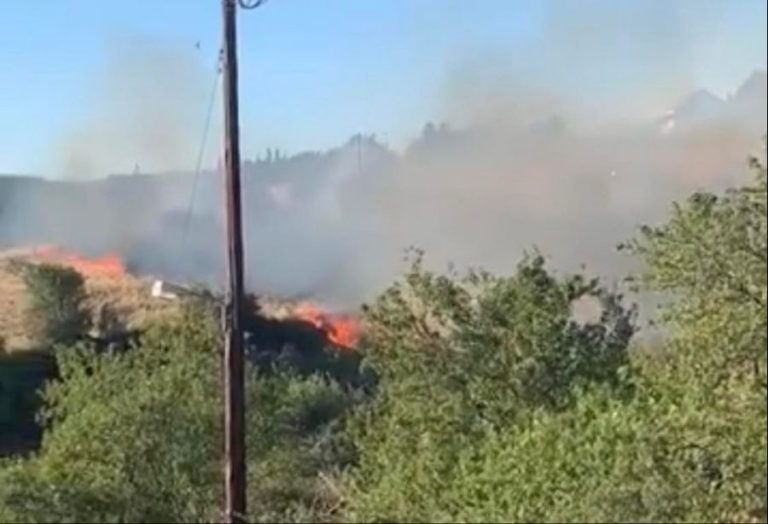 Θεσσαλονίκη: Μεγάλη φωτιά στο Ωραιόκαστρο κοντά σε κατοικίες (VIDEO)