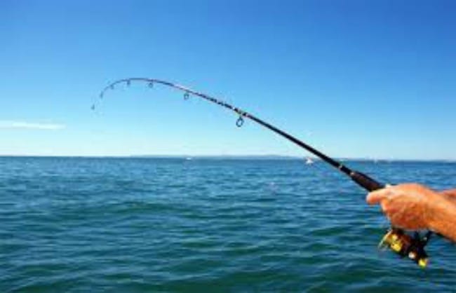 Οδηγός αλιείας για ερασιτέχνες ψαράδες