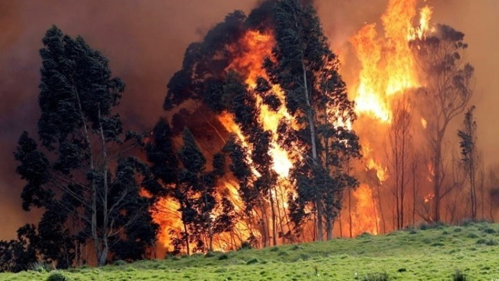 Οι πυρκαγιές στη Σιβηρία προκάλεσαν την έκλυση ποσοστού ρεκόρ διοξειδίου του άνθρακα
