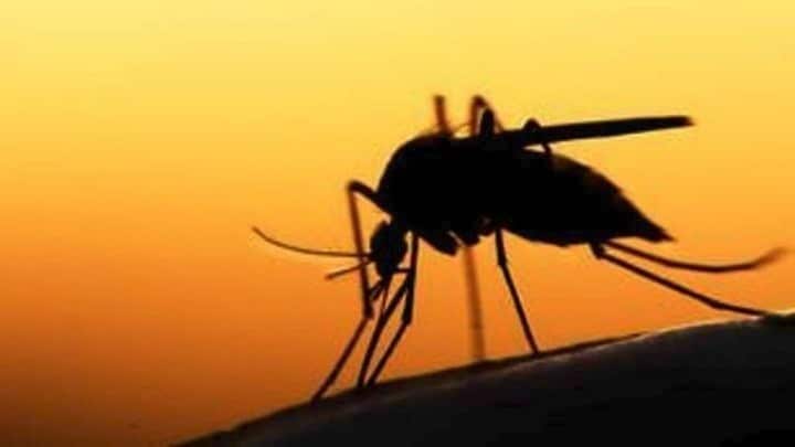 ΠΟΥ: Η ελονοσία θα σκοτώσει περισσότερους στην υποσαχάρια Αφρική απ’ ό,τι η πανδημία