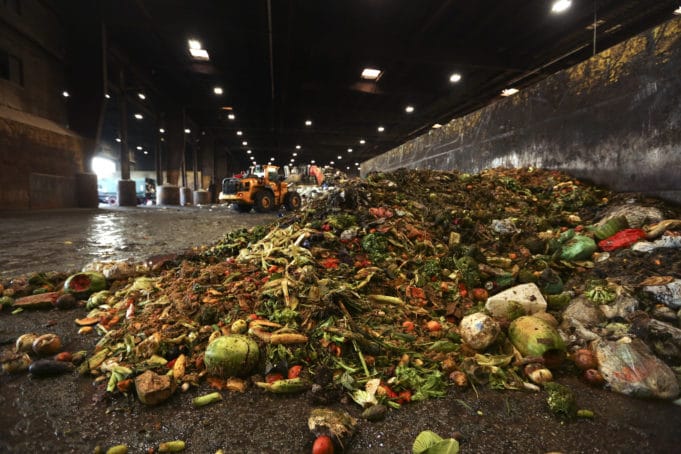 WWF Ελλάς: 88 εκατομμύρια τόνοι τροφίμων ετησίως καταλήγουν στα σκουπίδια μόνο στην Ευρώπη (φωτο+video)