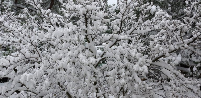 Σάκης Αρναούτογλου: Δημοσιεύτηκαν οι πρώτες εκτιμήσεις για τον καιρό του επερχόμενου Χειμώνα