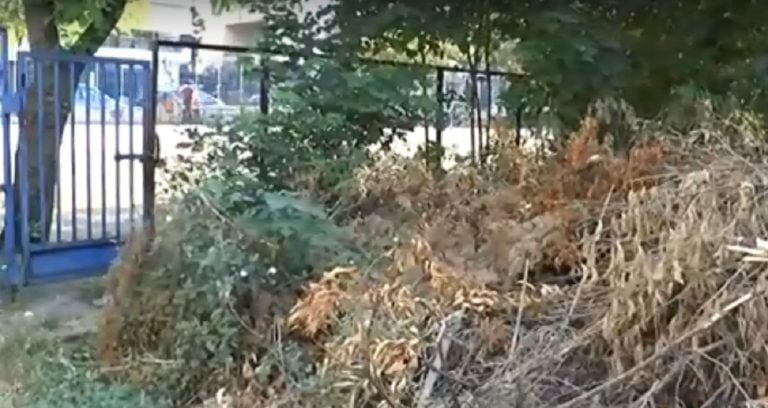 Σέρρες : Βουνά από κλαδιά και σκουπίδια δίπλα στην πόρτα του 9ου Δημοτικού (video)
