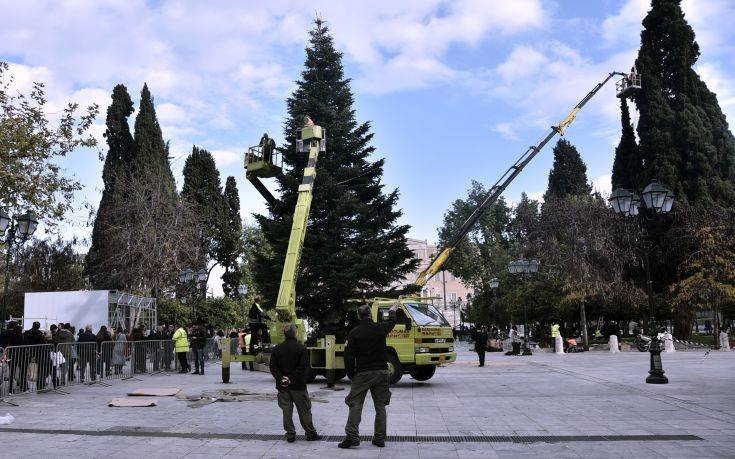 Σε ρυθμούς εορτών η Αθήνα: Στο Σύνταγμα το χριστουγεννιάτικο δέντρο (φωτο)