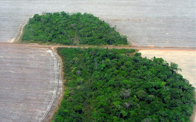 Αμαζόνιος: Έχασε 9.762 τετραγωνικά χλμ βλάστησης σε ένα χρόνο
