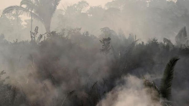 Παγκόσμια ανησυχία για τις φωτιές στον Αμαζόνιο – 2.500 νέες εστίες μέσα σε 48 ώρες