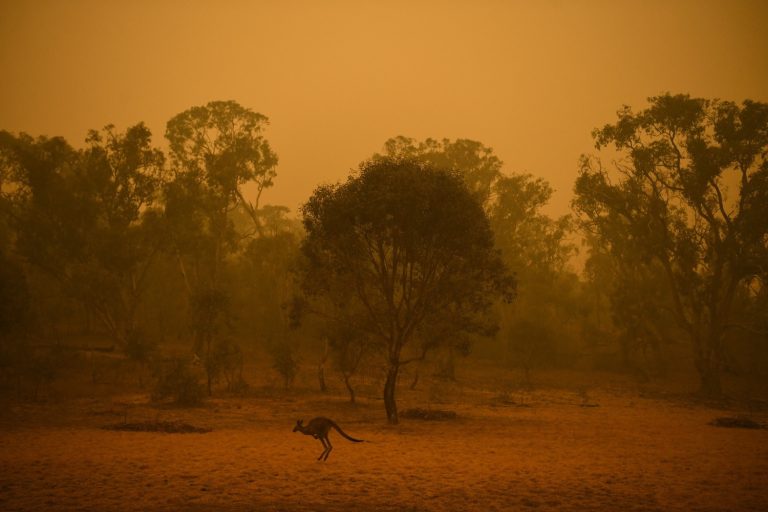 Αυστραλία: Νέες δασικές πυρκαγιές σε όλη τη χώρα – Αυξάνεται ο αριθμός των νεκρών