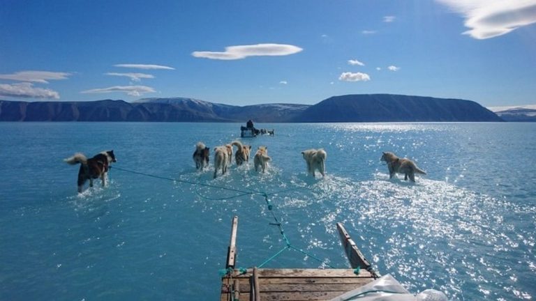 Η φωτογραφία που προκαλεί ανησυχία, το λιώσιμο των πάγων της Γροιλανδίας