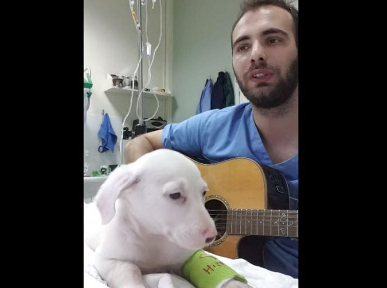 Σέρρες: Ο κτηνίατρος που τραγουδά και νανουρίζει το μικρό αδεσποτάκι (VIDEO)