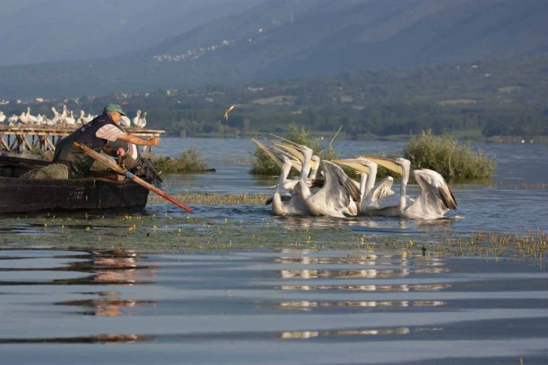 Η Περιφέρεια Κ. Μακεδονίας ενισχύει τους Φορείς Διαχείρισης Προστατευόμενων Περιοχών