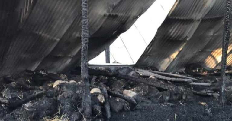 Καστοριά: Φωτιά σε κτηνοτροφική μονάδα έκαψε 250 αιγοπρόβατα
