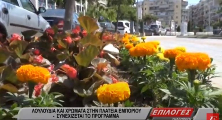 Σέρρες: Γέμισε λουλούδια και χρώματα η πλατεία Εμπορίου (video)