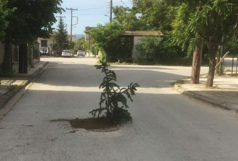 Λαγκαδάς: Φύτεψαν δέντρο για να καλύψουν λακκούβα στον δρόμο! (ΦΩΤΟ)