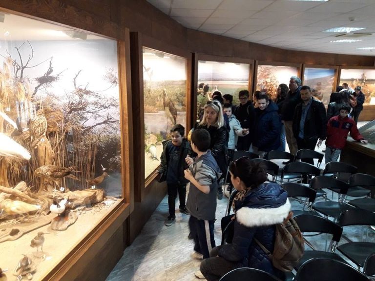Εκδηλώσεις για την προβολή του Μουσείου Φυσικής Ιστορίας του Δήμου Σερρών(φωτο)
