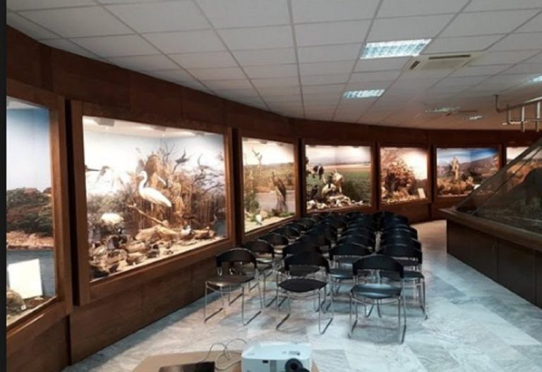 Γνωριμία με το Μουσείο Φυσικής Ιστορίας του Δήμου Σερρών(video)