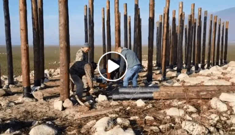 Σέρρες : Νέα ξύλινη πλατφόρμα για τους πελεκάνους στην Κερκίνη(video)