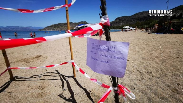 Χελώνα Καρέτα Καρέτα γέννησε τα αυγά της σε παραλία του Ναυπλίου (video)