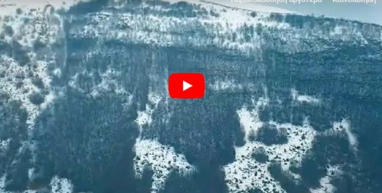 Παγγαίο όρος, το χρυσοφόρο βουνό by drone (video)