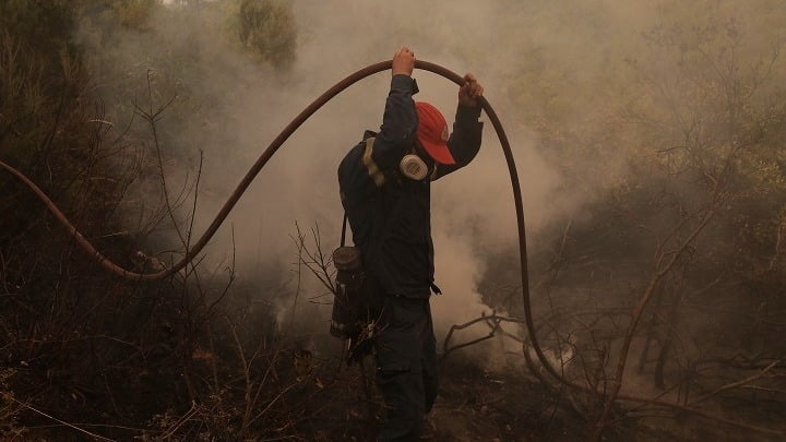 Δύο πυρκαγιές σε δασικές εκτάσεις στη Νέα Μάκρη Αττικής – Απομάκρυνση των κατοίκων από την περιοχή Λιβίσι